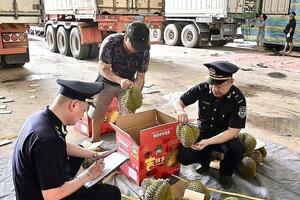 Kịp thời hỗ trợ, tạo thuận lợi cho hàng nông sản xuất khẩu