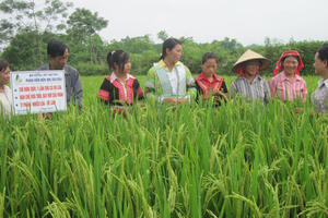 Khuyến nông cần được coi là một nghề