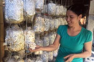 Vươn lên làm giàu từ trang trại trồng nấm