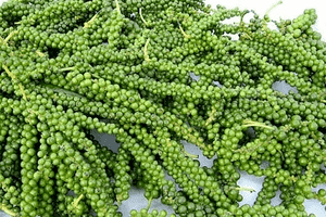 Giá tiêu hôm nay 18/11: Cao nhất 57.500 đồng/kg, tiêu xuất khẩu tăng cao