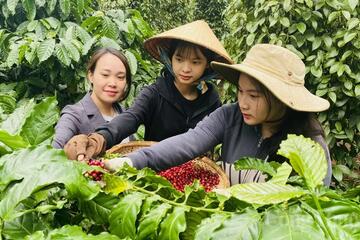 Gia Lai thúc đẩy tiêu thụ nông sản trên môi trường số