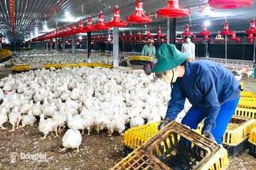 Đồng Nai mới là “thủ phủ” chăn nuôi của cả nước