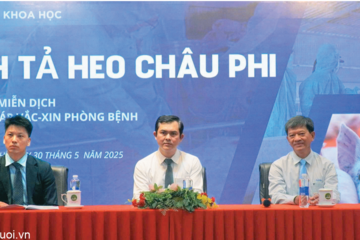 Đi tìm bản đồ miễn dịch cho ngành chăn nuôi