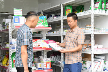 Xây nghiệp lớn từ chăn nuôi lợn