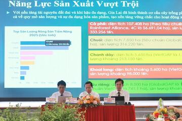 Cơ hội lớn cho nông sản Gia Lai tại thị trường Trung Quốc