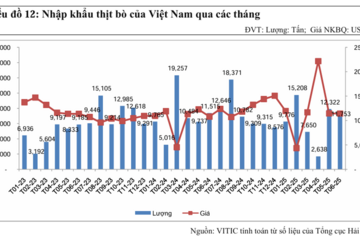 Nhập khẩu thịt bò 6 tháng đầu năm 2025 đạt gần 60.000 tấn