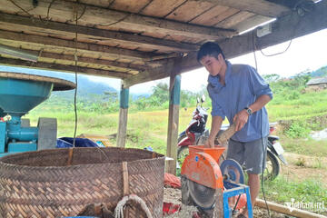 Chàng trai dân tộc Thái ở bản Pục làm giàu từ giống gà bản địa