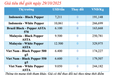 Giá tiêu hôm nay 29/10/2025: Duy trì đà tăng giá
