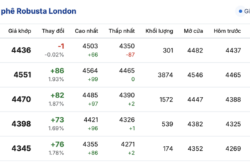 Giá cà phê hôm nay 30/10/2025: Trong nước tăng nhẹ trở lại