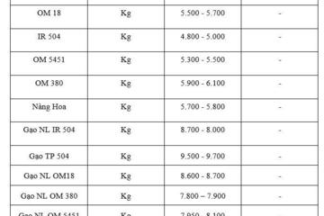 Giá lúa gạo hôm nay ngày 2/11 và tuần qua: Gạo xuất khẩu biến động