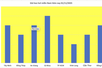 Giá heo hơi hôm nay 01/11/2025: Giảm nhẹ tại miền Bắc, miền Trung