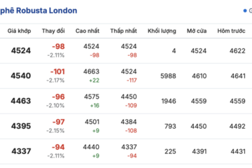 Giá cà phê hôm nay 3/11/2025: Trong nước đi ngang