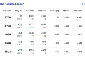 Giá cà phê hôm nay 5/11/2025: Bất ngờ tăng mạnh