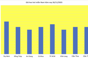 Giá heo hơi hôm nay 26/11/2025: Tăng giảm trái chiều