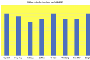 Giá heo hơi hôm nay 3/12/2025: Tăng mạnh đến 4.000 đồng/kg