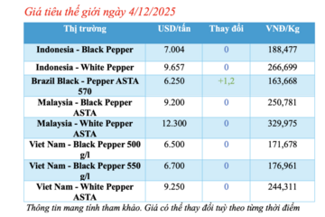Giá tiêu hôm nay 4/12/2025: Tiếp tục giảm mạnh cục bộ
