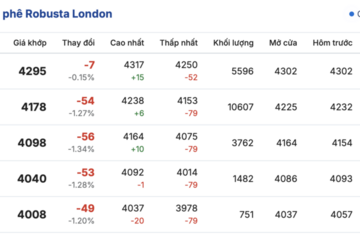 Giá cà phê hôm nay 8/12/2025: Đi ngang