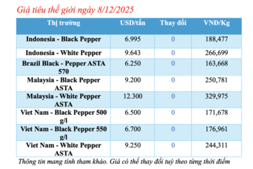 Giá tiêu hôm nay 8/12/2025: Cao nhất 149.000 đồng/kg