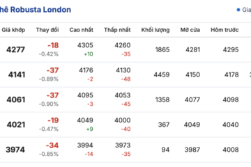Giá cà phê hôm nay 9/12/2025: Tăng nhẹ 200 đồng/kg