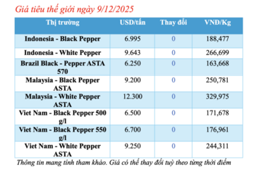 Giá tiêu hôm nay 9/12/2025: Tăng nhẹ vài nơi