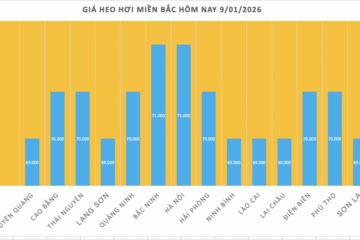 Giá heo hơi hôm nay 9/1/2026: Tiếp đà tăng giá, lập đỉnh mới