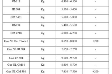 Giá lúa gạo hôm nay ngày 19/1/2026: Gạo xuất khẩu tăng