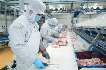 Ninh Bình: Điểm sáng trong phát triển chăn nuôi công nghệ cao, an toàn sinh học