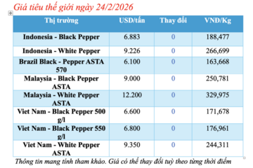 Giá tiêu hôm nay 24/2/2026: Chạm ngưỡng 152.000 đồng/kg