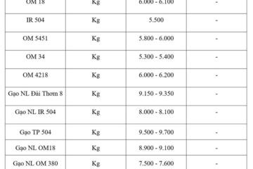 Giá lúa gạo hôm nay ngày 9/3/2026: Gạo Thơm dẻo neo giá cao