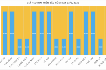 Giá heo hơi hôm nay 23/3/2026: Biến động trái chiều
