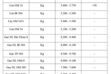 Giá lúa gạo hôm nay ngày 31/3: Lúa tươi tăng nhẹ