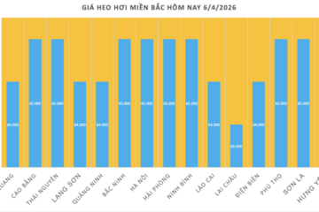 Giá heo hơi hôm nay 6/4/2026: Tăng nhẹ tại miền Bắc, miền Trung