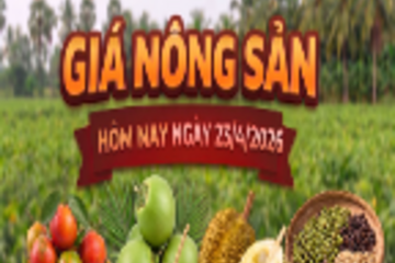 Giá nông sản hôm nay 23/4: Nhiều mặt hàng có xu hướng giảm mạnh