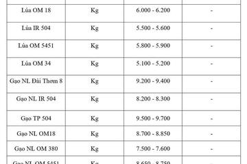 Giá lúa gạo hôm nay ngày 23/4/2026: Gạo xuất khẩu tăng mạnh