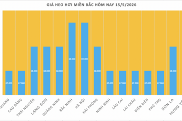 Giá heo hơi hôm nay 15/5/2026: Giữ đỉnh 71.000 đồng/kg