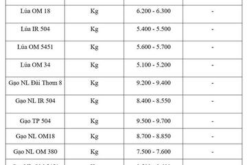 Giá lúa gạo hôm nay ngày 15/5/2026: Gạo thường giảm 1.000 đồng/kg