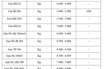 Giá lúa gạo hôm nay ngày 30/6/2026: Lúa tươi giảm nhẹ