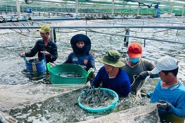 Công nghiệp, thương mại Cà Mau khởi sắc trong nửa đầu năm 2026