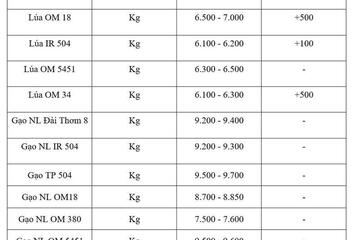 Giá lúa gạo hôm nay ngày 17/7/2026: Lúa tươi tiếp đà tăng mạnh