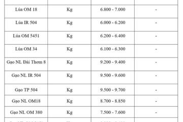Giá lúa gạo hôm nay ngày 27/7/2026: Tấm thơm tăng nhẹ