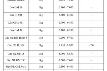 Giá lúa gạo hôm nay ngày 17/8: Gạo nguyên liệu xuất khẩu đảo chiều giảm nhẹ