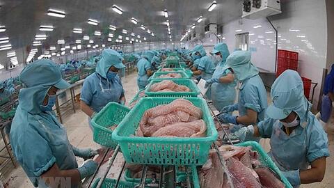 Mở rộng thị trường và nâng cao thương hiệu cho cá basa Việt Nam