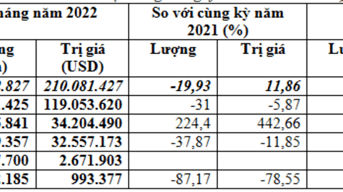 Nhập khẩu lúa mì 2 tháng đầu năm 2022 giảm về khối lượng, tăng kim ngạch