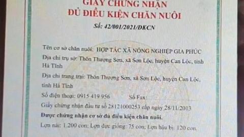 Hà Tĩnh: 66% trang trại đang thiếu giấy chứng nhận đủ điều kiện chăn nuôi