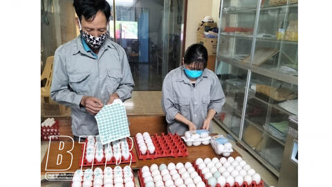 Thái Bình: 5 sản phẩm chăn nuôi được công nhận sản phẩm OCOP