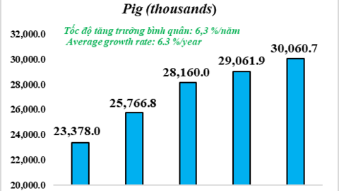Tình hình chăn nuôi Việt Nam giai đoạn 2019-2023