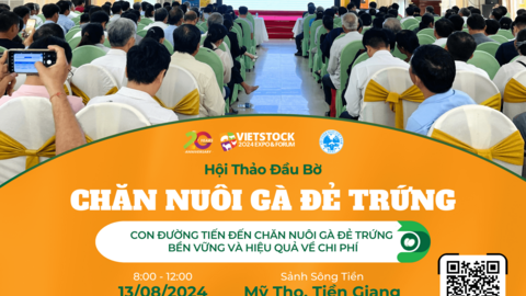 Hội thảo chuyên ngành chăn nuôi gà đẻ trứng tại Tiền Giang