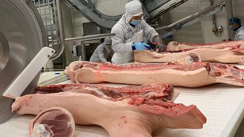 Đẩy mạnh số hoá cơ sở dữ liệu chăn nuôi, dự báo cung cầu thị trường