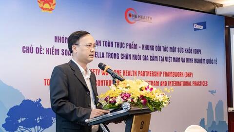 Kiểm soát Salmonella trong chăn nuôi để giảm thiểu rủi ro an toàn thực phẩm