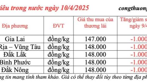 Giá tiêu hôm nay 10/4/2025, thị trường cao nhất 148.000 đồng/kg